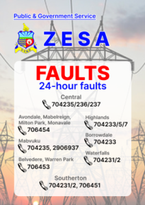 ZESA Faults