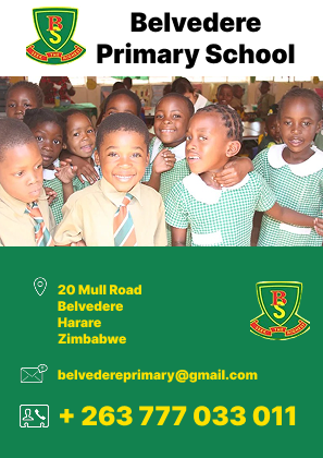 belvedere school